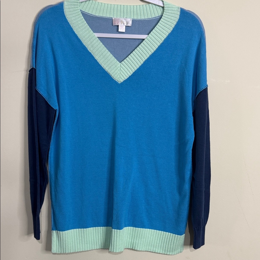 Belle by Kim Gravel Blue Mint V-Neck Colorblock Sweater